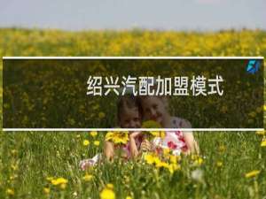 绍兴汽配加盟模式