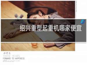 绍兴重型起重机哪家便宜
