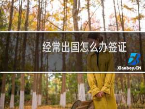 经常出国怎么办签证