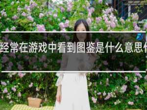 经常在游戏中看到图鉴是什么意思什么梗