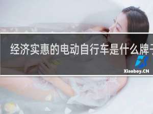 经济实惠的电动自行车是什么牌子的