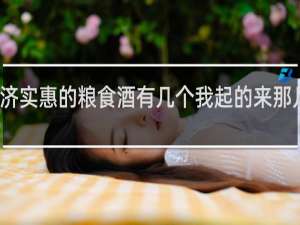 经济实惠的粮食酒有几个我起的来那几个九二