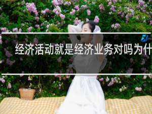 经济活动就是经济业务对吗为什么