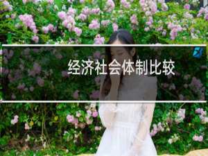 经济社会体制比较