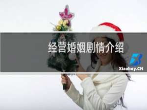 经营婚姻剧情介绍