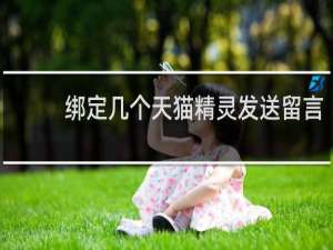 绑定几个天猫精灵发送留言