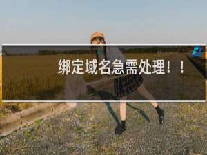 绑定域名急需处理！！急！