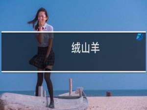 绒山羊（横山区特产）