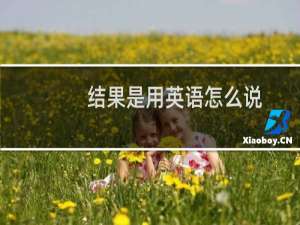 结果是用英语怎么说