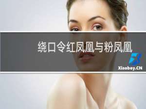 绕口令红凤凰与粉凤凰完整（绕口令红凤凰）