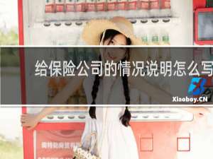 给保险公司的情况说明怎么写