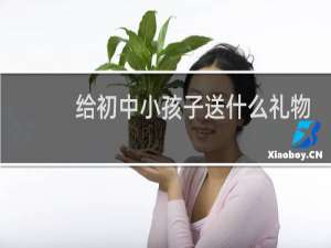 给初中小孩子送什么礼物
