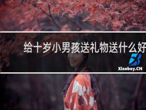 给十岁小男孩送礼物送什么好