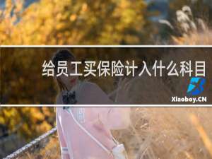 给员工买保险计入什么科目