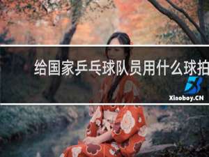 给国家乒乓球队员用什么球拍