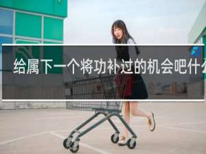 给属下一个将功补过的机会吧什么梗
