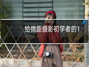 给微距摄影初学者的10条小建议