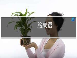 给成语