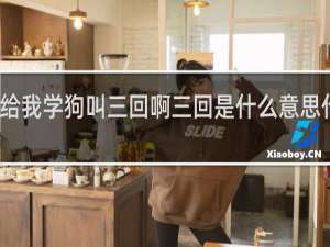 给我学狗叫三回啊三回是什么意思什么梗