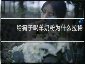 给狗子喝羊奶粉为什么拉稀