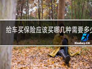 给车买保险应该买哪几种需要多少钱