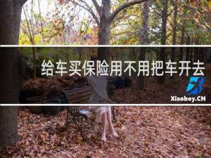 给车买保险用不用把车开去