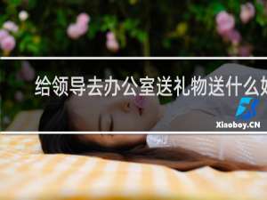 给领导去办公室送礼物送什么好