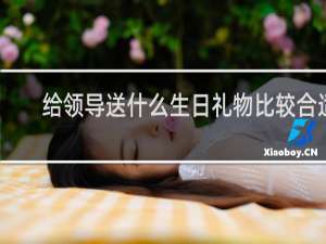 给领导送什么生日礼物比较合适