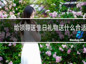 给领导送生日礼物送什么合适