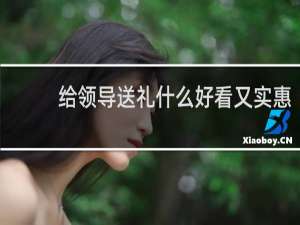 给领导送礼什么好看又实惠