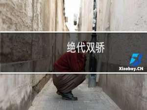 绝代双骄-武林外传攻略