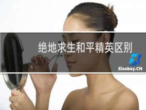 绝地求生和平精英区别