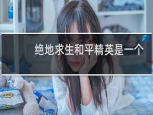 绝地求生和平精英是一个游戏吗