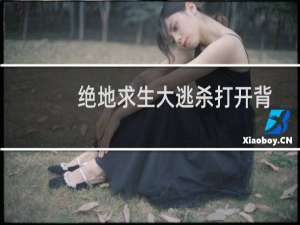 绝地求生大逃杀打开背包卡怎么办