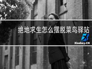 绝地求生怎么摆脱菜鸟驿站