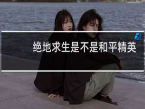 绝地求生是不是和平精英改名的