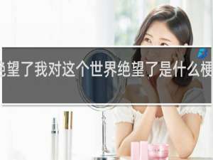 绝望了我对这个世界绝望了是什么梗什么梗