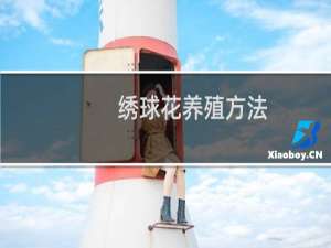 绣球花养殖方法