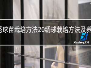 绣球苗栽培方法 绣球栽培方法及养护要点