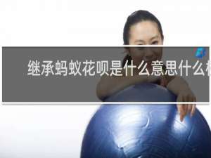 继承蚂蚁花呗是什么意思什么梗
