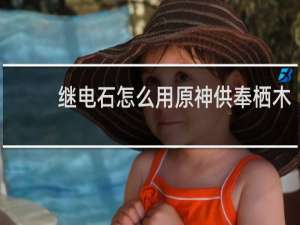 继电石怎么用原神供奉栖木