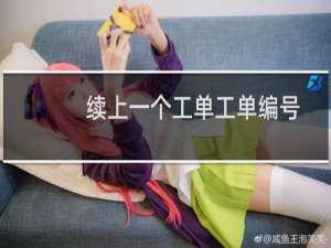 续上一个工单工单编号：