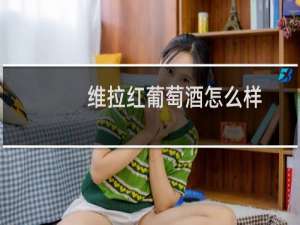 维拉红葡萄酒怎么样
