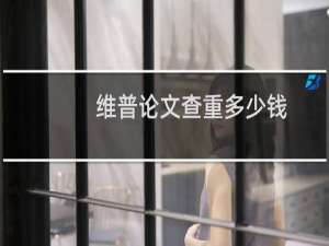 维普论文查重多少钱