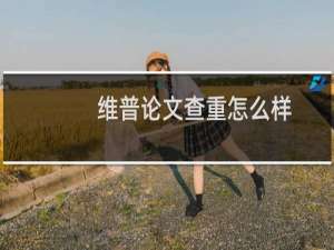 维普论文查重怎么样
