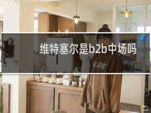 维特塞尔是b2b中场吗