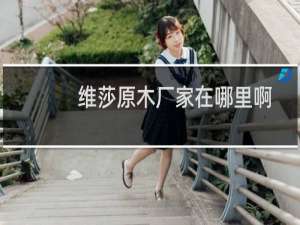 维莎原木厂家在哪里啊