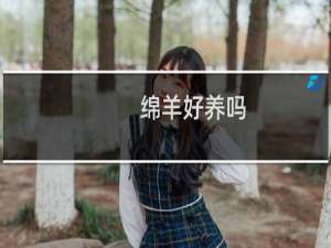 绵羊好养吗