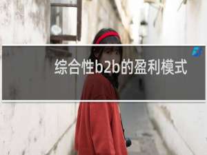 综合性b2b的盈利模式