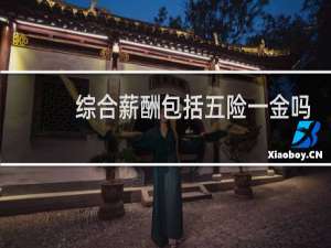 综合薪酬包括五险一金吗